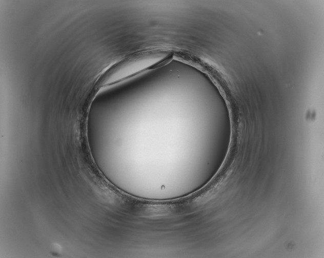 X0000094431305200711291524