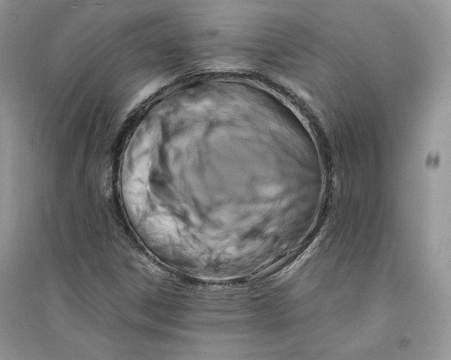 X0000094431306200711291524