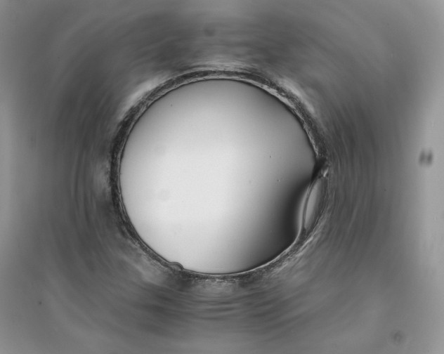 X0000094431307200711291524