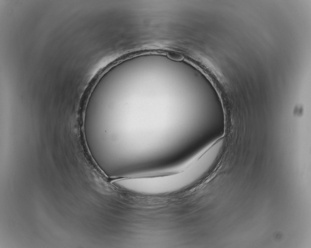 X0000094431308200711291524