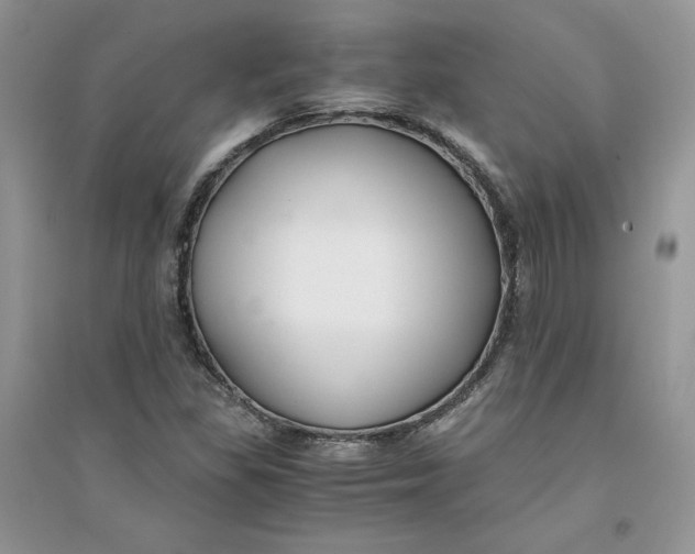 X0000094431309200711291524