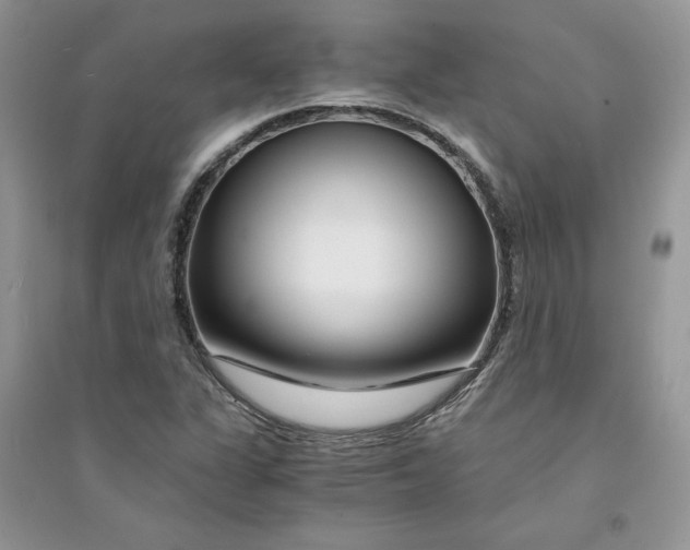 X0000094431311200711291524