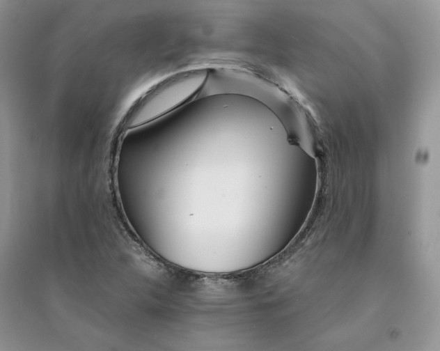 X0000094431312200711291524