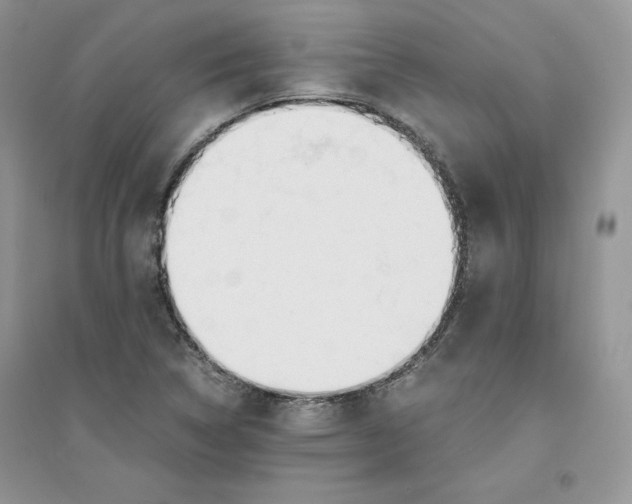 X0000094431314200711291524