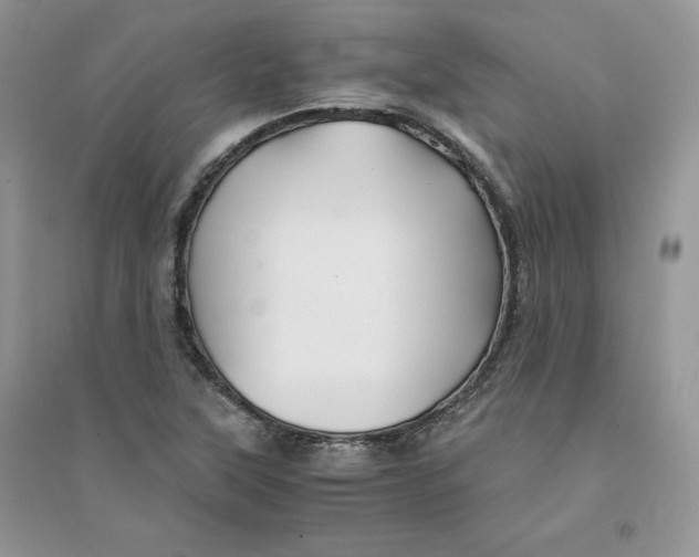 X0000094431315200711291524