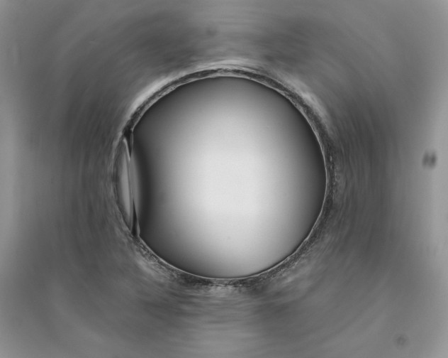 X0000094431316200711291524