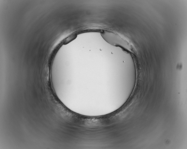 X0000094431317200711291524