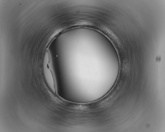 X0000094431321200711291524