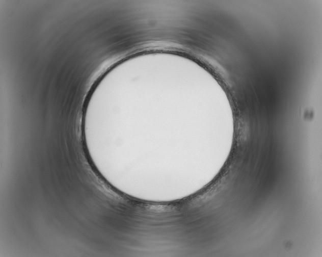 X0000094431322200711291524