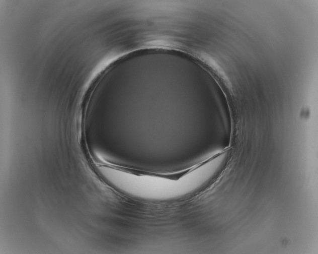 X0000094431323200711291524