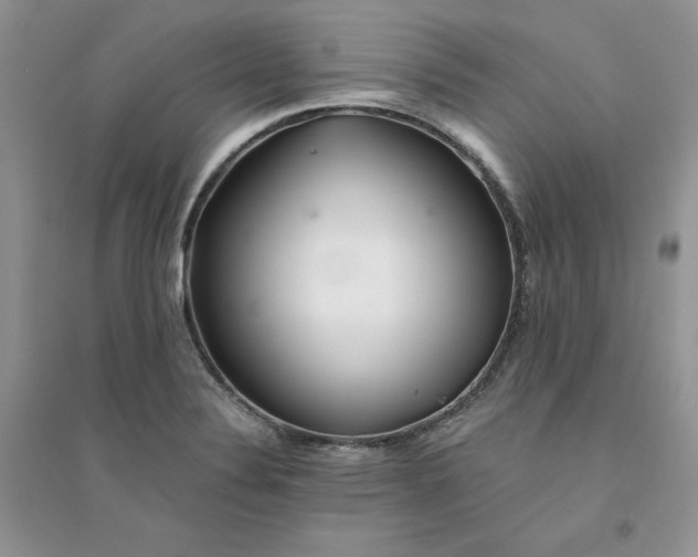 X0000094431324200711291524