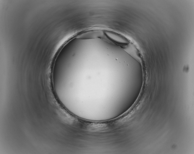 X0000094431325200711291524