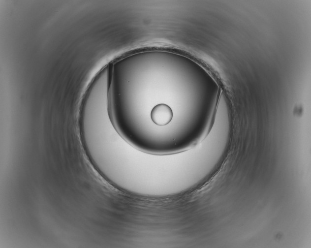 X0000094431326200711291524