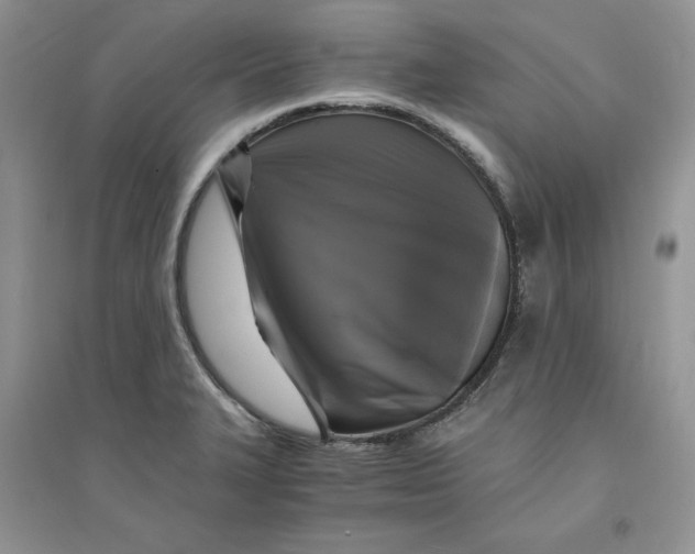 X0000094431327200711291524