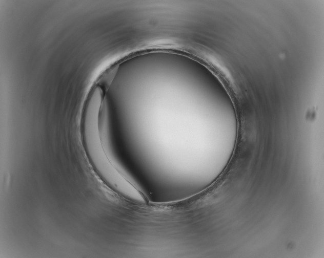 X0000094431328200711291524