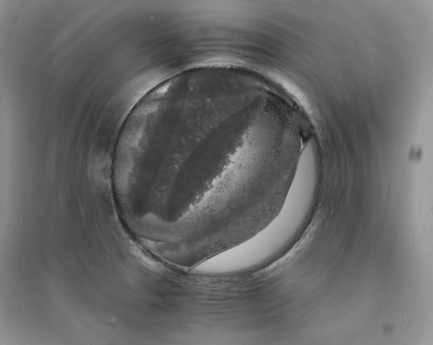 X0000094431329200711291524