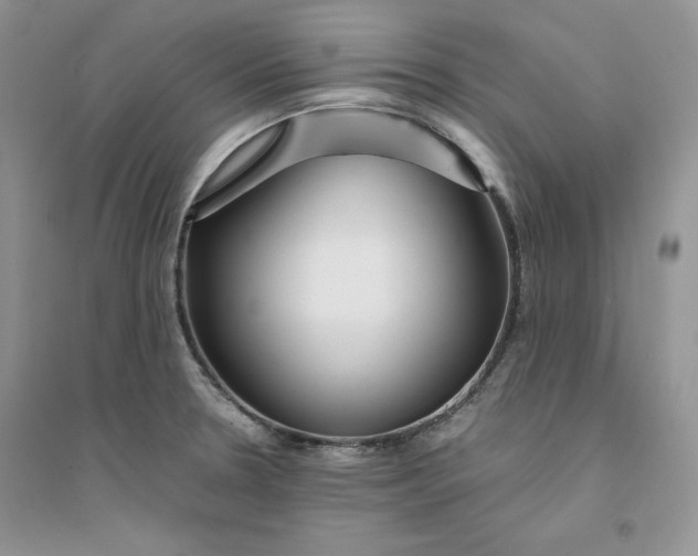 X0000094431330200711291524