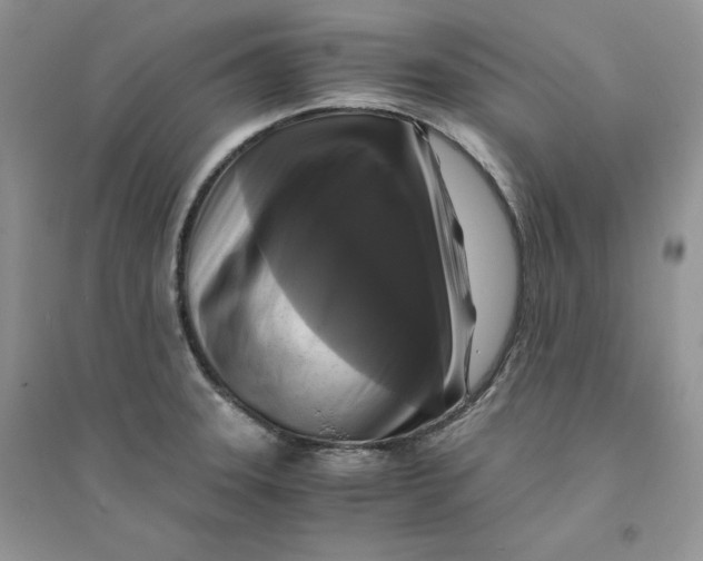 X0000094431331200711291524