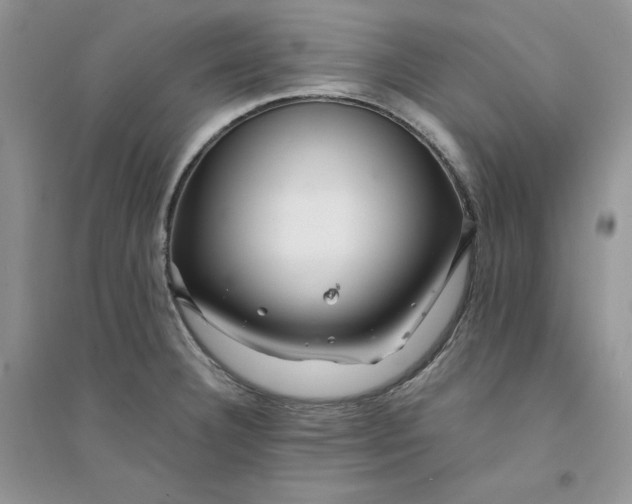 X0000094431332200711291524