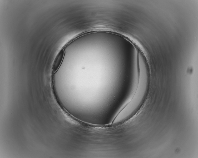 X0000094431333200711291524