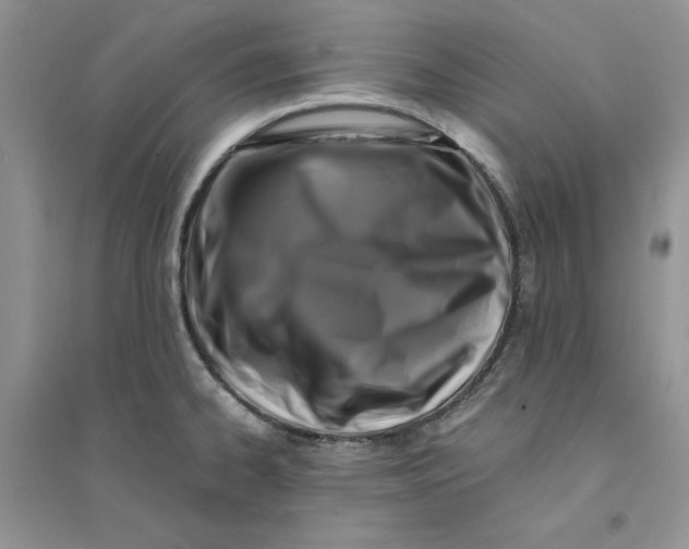 X0000094431334200711291524