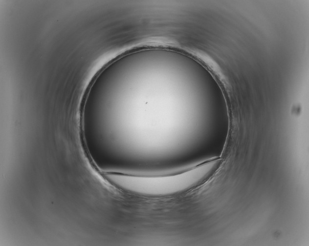 X0000094431335200711291524