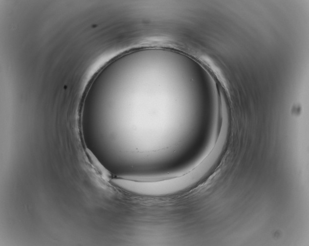 X0000094431336200711291524