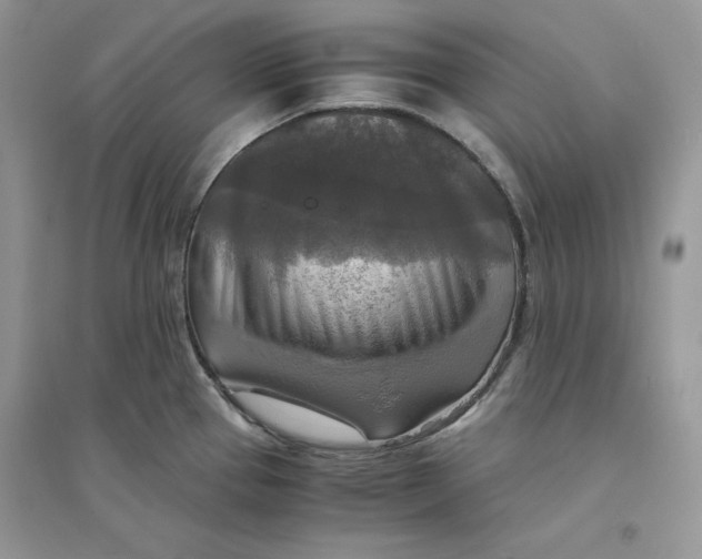 X0000094431337200711291524