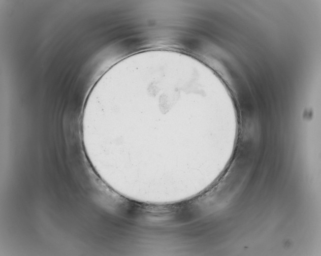 X0000094431338200711291524