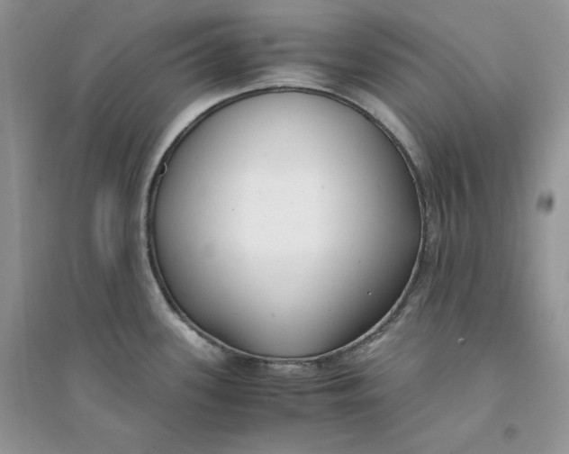 X0000094431339200711291524