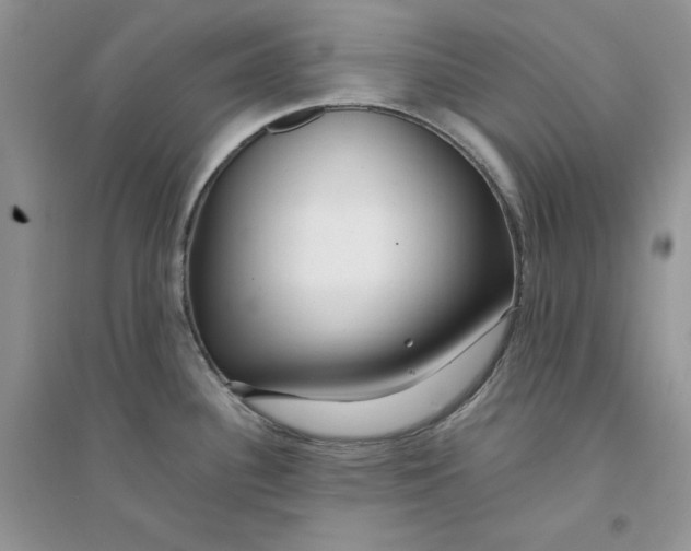 X0000094431340200711291524