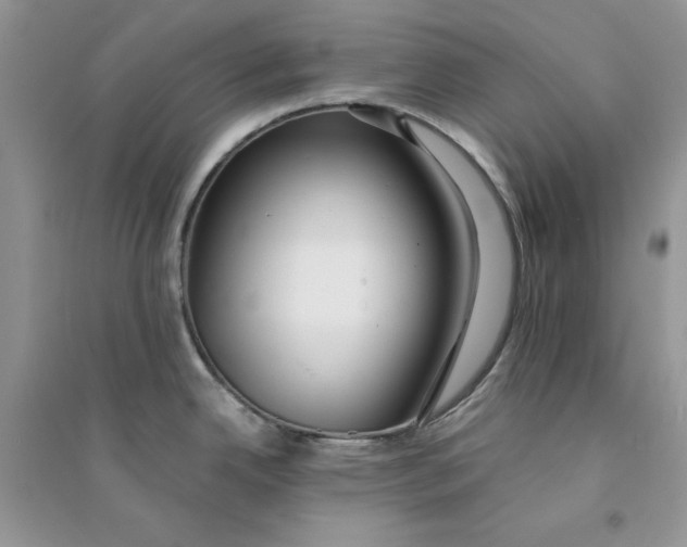 X0000094431342200711291524