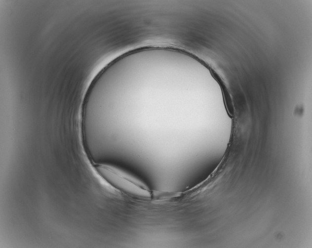 X0000094431343200711291524