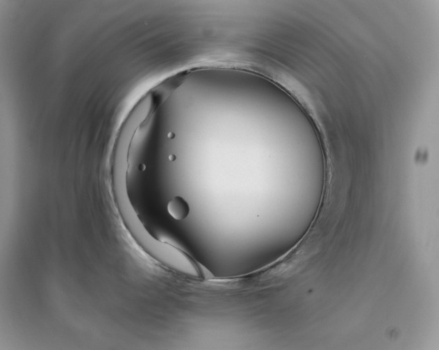 X0000094431344200711291524