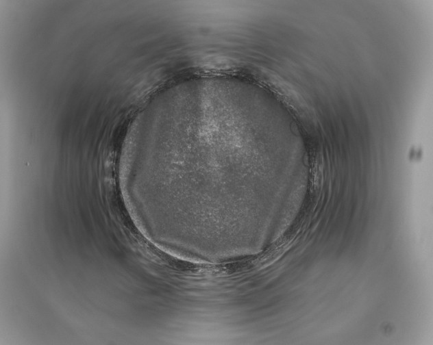 X0000094431346200711291523