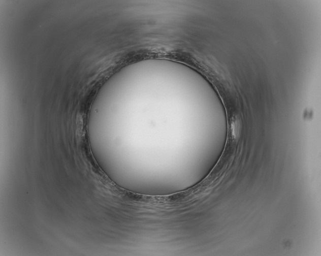 X0000094431347200711291523