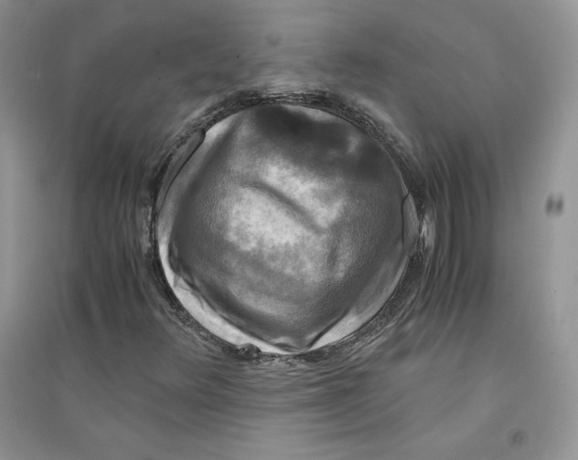 X0000094431348200711291523