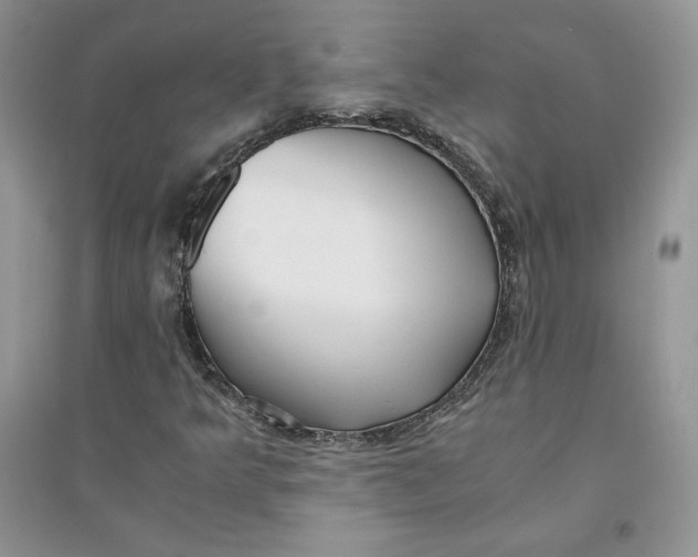 X0000094431349200711291523