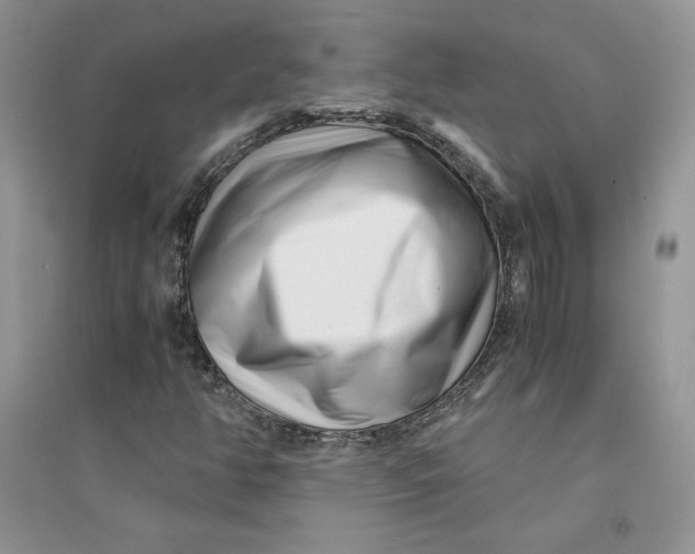 X0000094431350200711291523