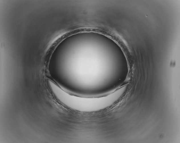 X0000094431352200711291523