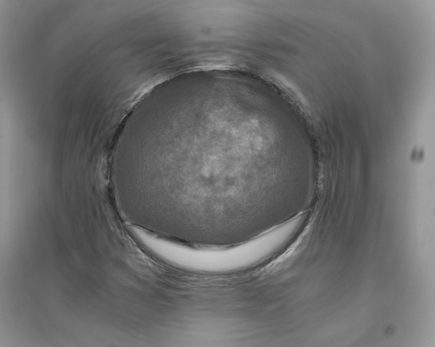 X0000094431353200711291523