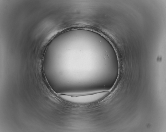 X0000094431355200711291523