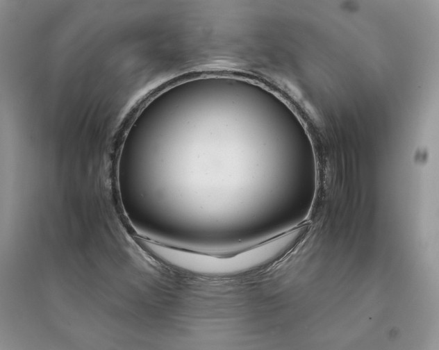 X0000094431356200711291523