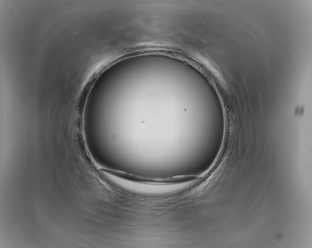 X0000094431357200711291523