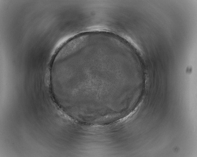 X0000094431358200711291523