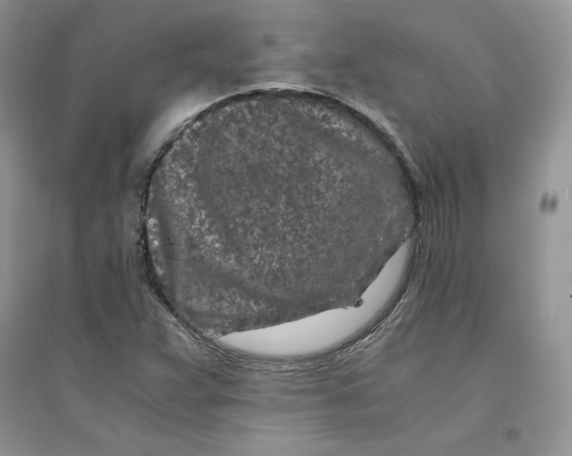 X0000094431359200711291523