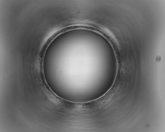 X0000094431360200711291523