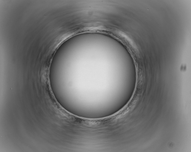 X0000094431361200711291523