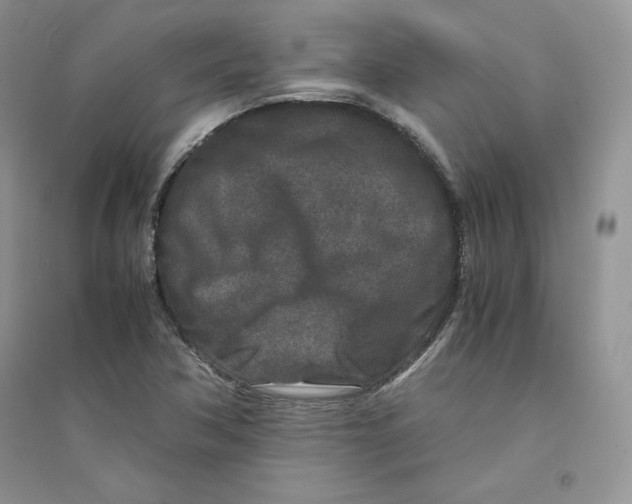 X0000094431362200711291523