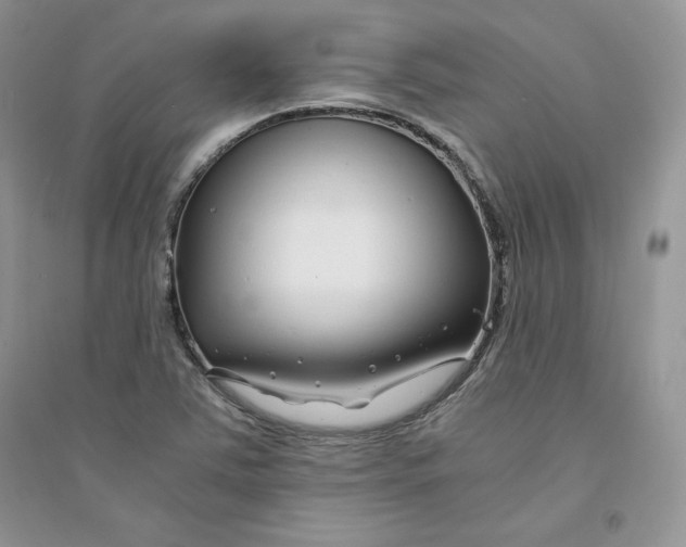 X0000094431363200711291523